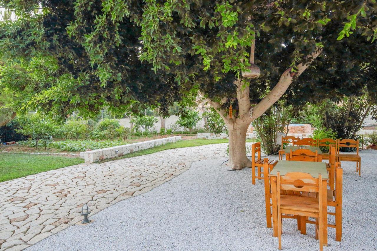 Amatu Villa Xerokampos  Bagian luar foto